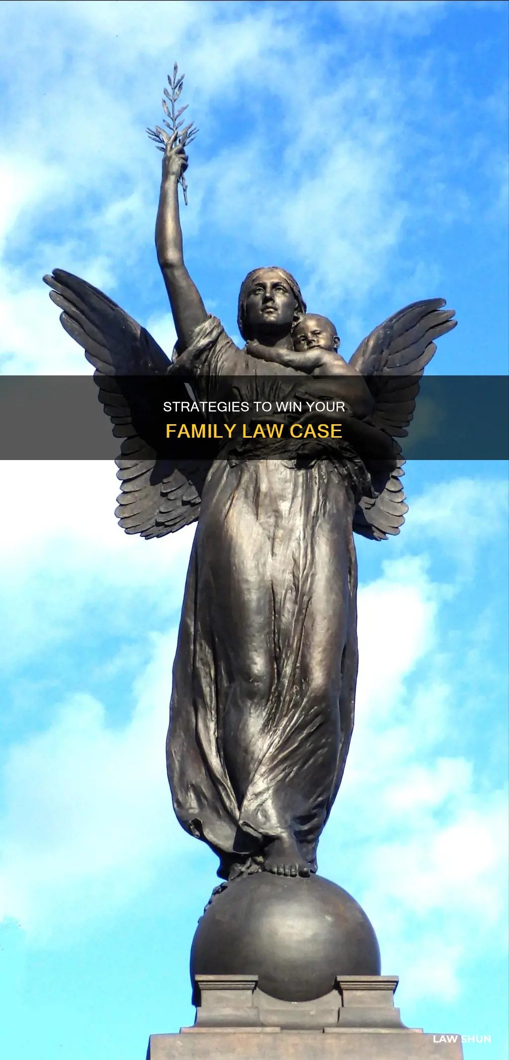 how to win a family law case