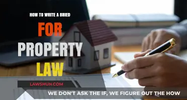 Mastering Property Law Briefs: Essential Tips for Effective Writing