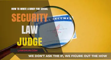Crafting a Winning Brief for Social Security Law Judges: Essential Tips