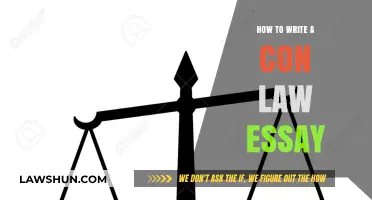 Mastering Constitutional Law Essays: Essential Tips for Clear and Persuasive Writing