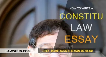 Writing a Constitutional Law Essay: A Step-by-Step Guide