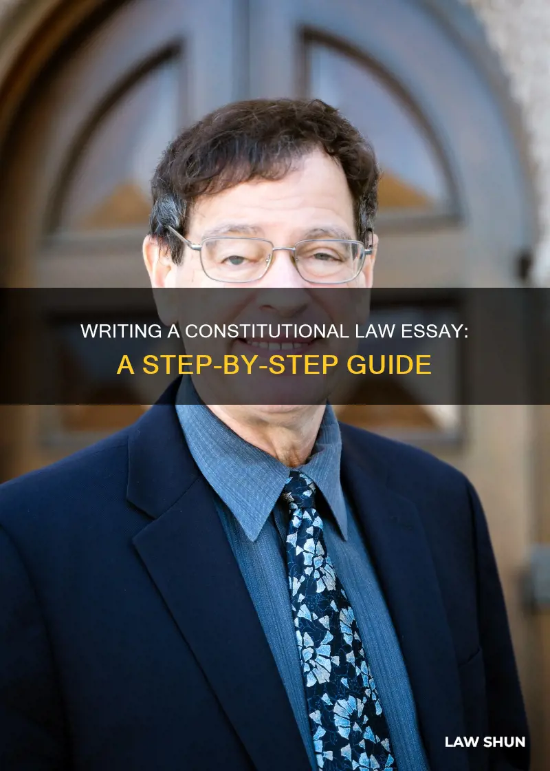 how to write a constitutional law essay