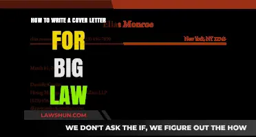 Crafting a Winning Big Law Cover Letter: Expert Tips and Strategies