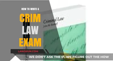 Mastering Criminal Law Exams: Essential Tips for Writing Success