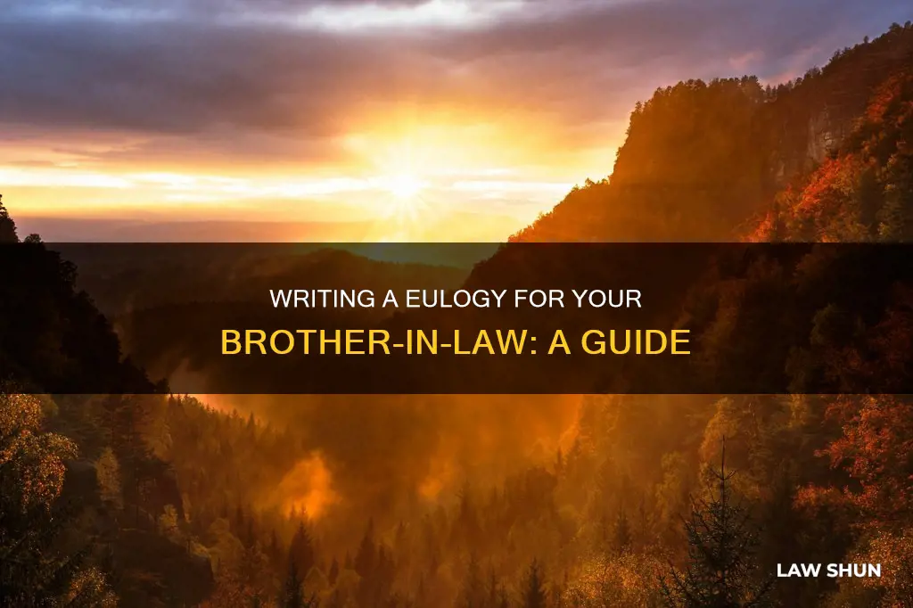 how to write a eulogy for a brother in law