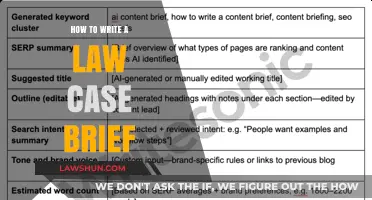 Writing a Law Case Brief: A Step-by-Step Guide