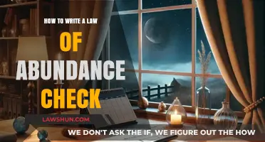 Mastering the Art of Writing a Law of Abundance Check
