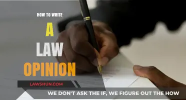 Mastering Legal Writing: Crafting a Compelling Law Opinion Step-by-Step