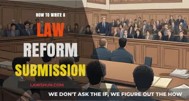 Mastering Law Reform Submissions: A Step-by-Step Guide to Effective Advocacy