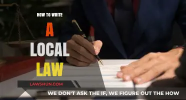 Crafting Local Legislation: A Step-by-Step Guide to Writing Effective Laws