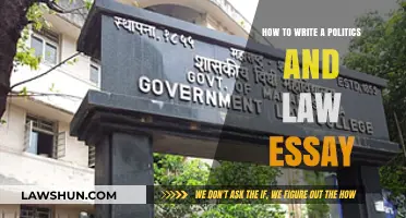 Mastering Politics and Law Essays: Essential Tips for Academic Success