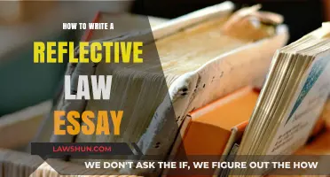 Mastering Reflective Law Essays: Essential Tips for Critical Analysis