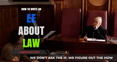 Mastering the Art of Writing a Law-Focused Extended Essay