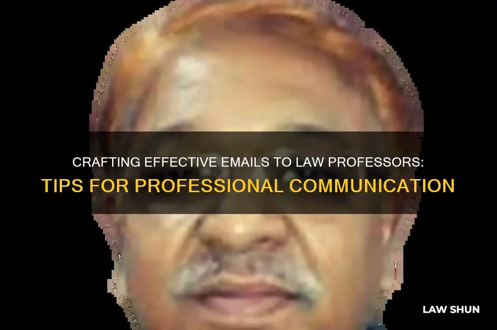 how to write an email to law professor