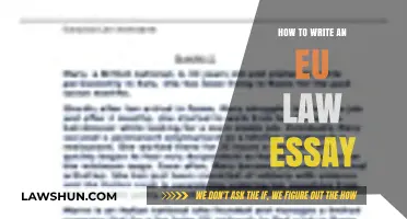 Mastering EU Law Essays: Essential Tips for Academic Excellence