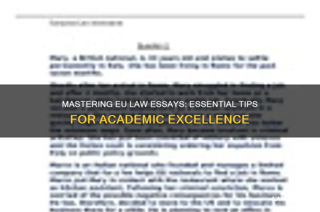 how to write an eu law essay