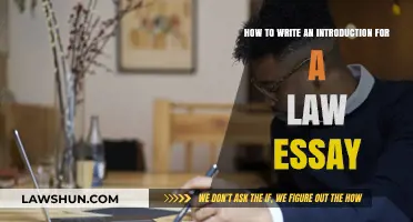 Mastering the Art of Writing a Compelling Law Essay Introduction