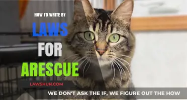 Crafting Effective Bylaws for Animal Rescue Organizations: A Step-by-Step Guide