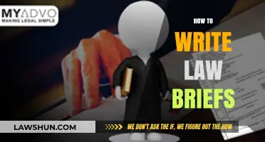 Mastering Legal Writing: A Comprehensive Guide to Crafting Effective Law Briefs