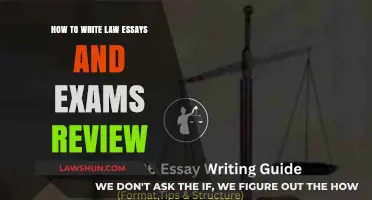 Mastering Law Essays and Exams: Essential Tips for Academic Success