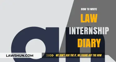 Crafting a Law Internship Diary: Tips for Effective Documentation