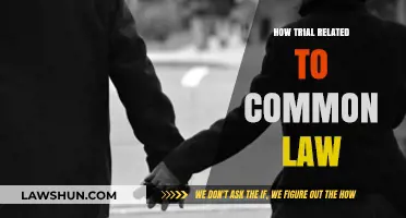 Trial and Common Law: A Historical Overview