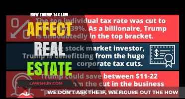 Trump's Tax Law: Impact on Real Estate