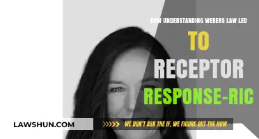 Unraveling Weber's Law: Receptor Response Insights by Richard G