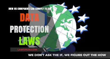 US Companies: Complying with EU Data Privacy Laws