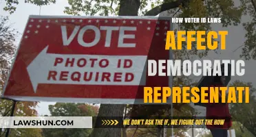 Voter ID Laws: Impact on Democratic Representation and Equity