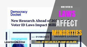 Voter ID Laws: Impact on Minority Voting Rights and Access