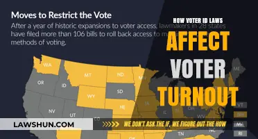 Voter ID Laws: Impact on Turnout and Democracy Explained