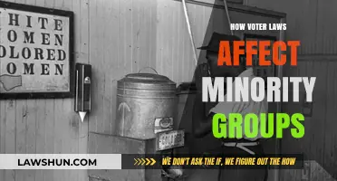 Voter Laws Impact: How Minority Groups Face Disenfranchisement Challenges
