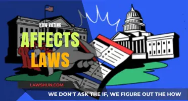 How Your Vote Shapes Laws and Influences Policy Decisions