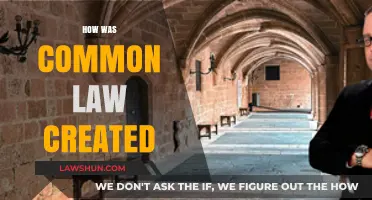 The Evolution of Common Law: How Did It Begin?