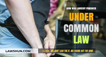 Larceny Punishments: Common Law's Harsh Penalties