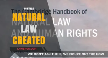 The Origin of Natural Law: A Historical Perspective