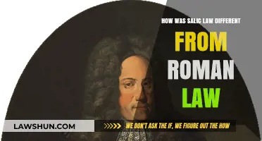 Salic Law: Unique Features Compared to Roman Law