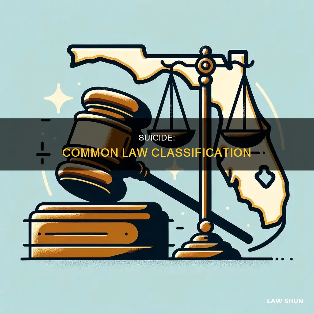 how was suicide classified at common law