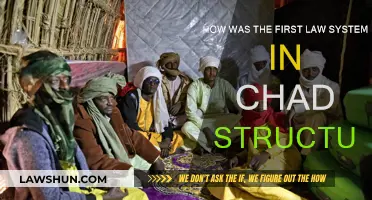 Chad's First Legal System: A Traditional Structure