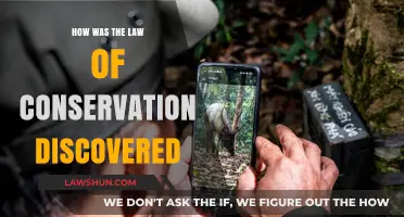 Unveiling the Discovery of the Law of Conservation: A Historical Journey