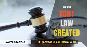The Evolution of Tort Law: How It Came to Be