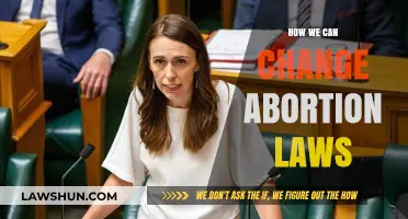 Changing Abortion Laws: A Guide to Making an Impact