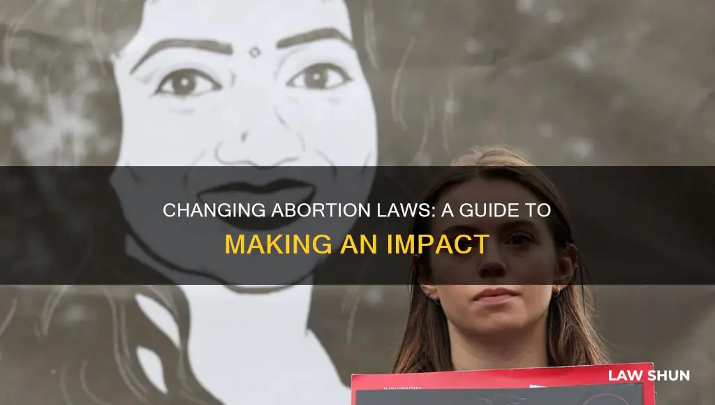 how we can change abortion laws