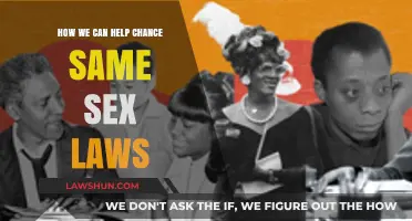 Changing Same-Sex Laws: Our Role and Impact
