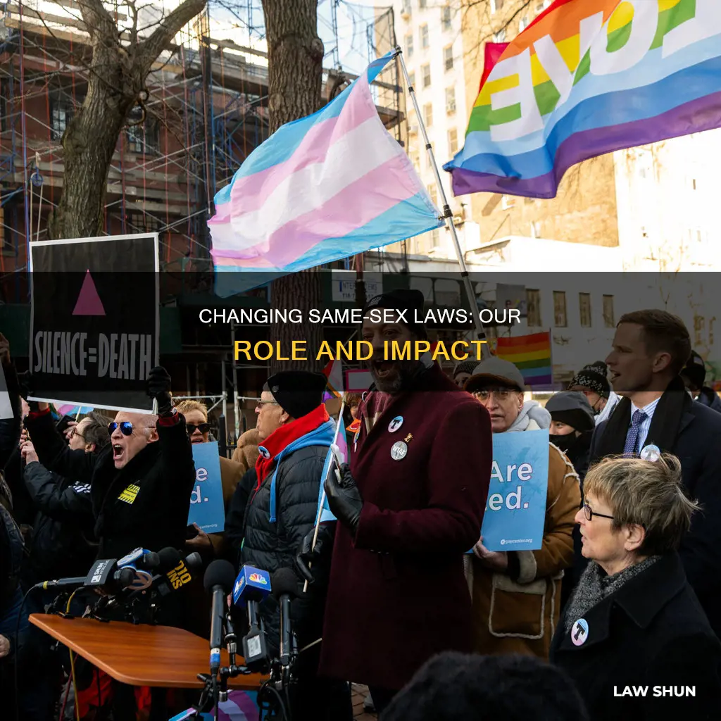 how we can help chance same sex laws