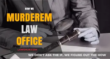 Unveiling the Dark Side: How We Murdered Our Law Office