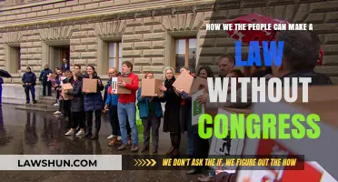 Creating Laws: Congress-Free Ways to Make Change