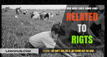 Child Labor Laws: Protecting Rights and Shaping a Fair Future