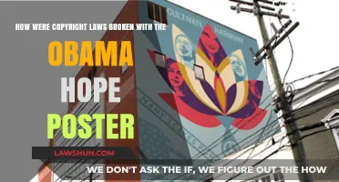 Obama's Hope Poster: The Copyright Infringement Controversy Explained